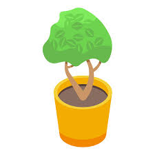 Garden Tree Pot Icon Isometric Vector