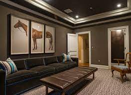 Brown And Blue Basement Living Rooms