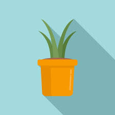 Succulent Plant Pot Vector Icon
