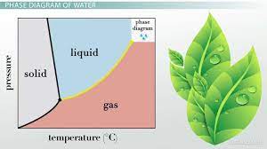 Water Phase Diagram Comparisons