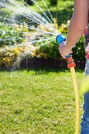 Rain Water Versus Tap Water Which Is