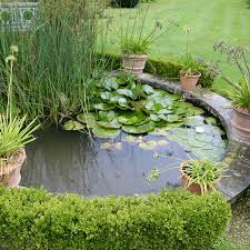 27 Raised Pond Ideas For Small Gardens