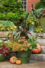 Fall Planter Ideas Container Garden