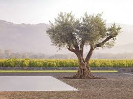 10 Garden Ideas To Steal From