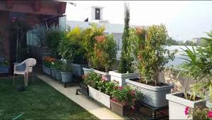Terrace Garden At Rs 450 Sq Ft In