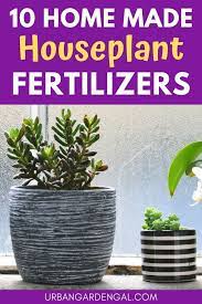Plant Food Diy Homemade Plant Fertilizer
