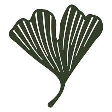 Ginkgo Biloba Cut Out Plants Png Svg