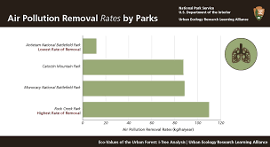 Air Pollution Removal By Urban Forests