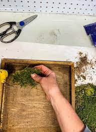 How To Make Diy Moss Wall Art Cottage