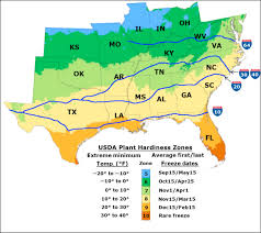 Hardiness Zone An Overview