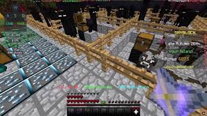 Hypixel Skyblock Insane Enderman Farm