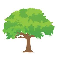 Tree Drawing Stock Photos Royalty Free