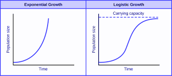 Logistic Function Definition