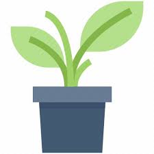 Decor Ecology Nature Plant Pot