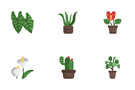 18 Calathea Icon Packs Free In Svg