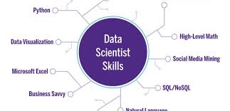 11 Data Scientist Skills Employers Want