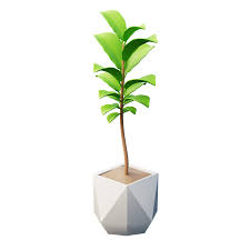 House Plant 3d Ilration Pack