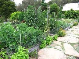 Steve Hailstone Garden Design Tips