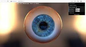 eye texture raytracing demo questions