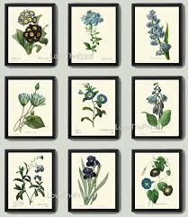 Botanical Wall Art Prints