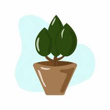 Green Indor Plant Pot Small Tree