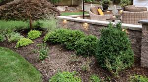 Cedar Mulch What You Need To Know