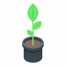 Cartoon Fl Flower Isometric