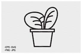 Succulent Plants In Pot Icon Vector