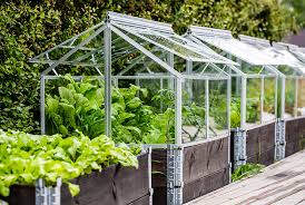 Building A Diy Greenhouse At Home