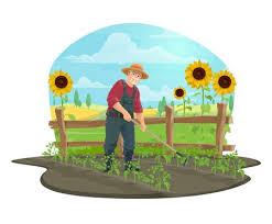 Farmer Hoeing And Weeding Soil With