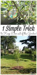 Keep Deer Out Of The Garden Naturally