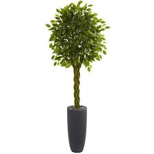 Braided Ficus Artificial Tree