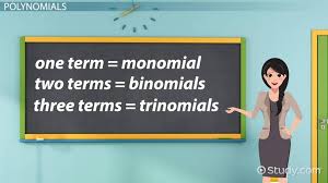 Real Zeros Of Polynomials Overview