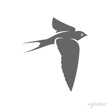 Swallow Logo Vector Template Creative