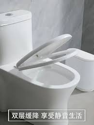 Bowl Sa Toilet Seat Cover Replacement