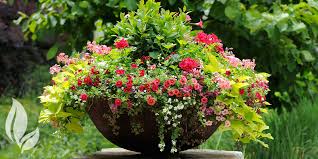Glamorous Container Gardens You Need In