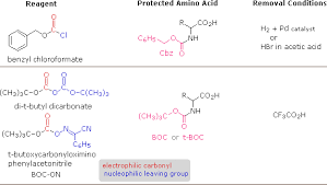 Proteins