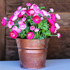 Flower Pot With Metallic Copper Spray Paint