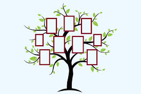 Creative Family Tree Design Ideas