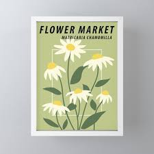 Flower Market Print Chamomile Daisy