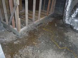 Basement Waterproofing Standing Water