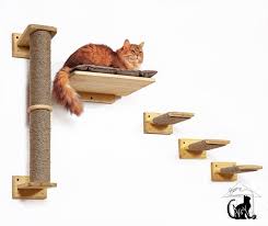 Cat Tower Cat Climbing Cat Shelves Cat