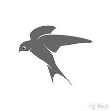 Swallow Logo Vector Template Creative