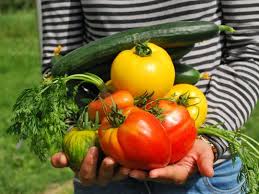 Kitchen Gardens Grow Your Own Food At