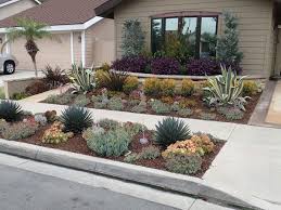 Drought Tolerant Landscaping Orange