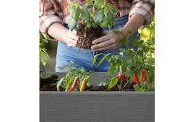 29 Gallon Elevated Garden Bed