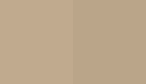 Vista 3am Latte C 174 Color Hex Code