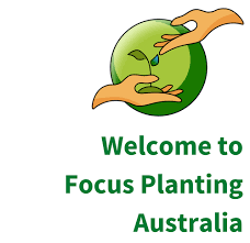 Focus Planting Australia Home Www