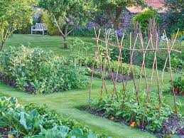 Crop Rotation To Avoid Disease In The