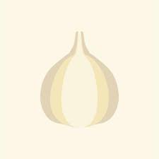 Garlic Flat Design Vector Ilration